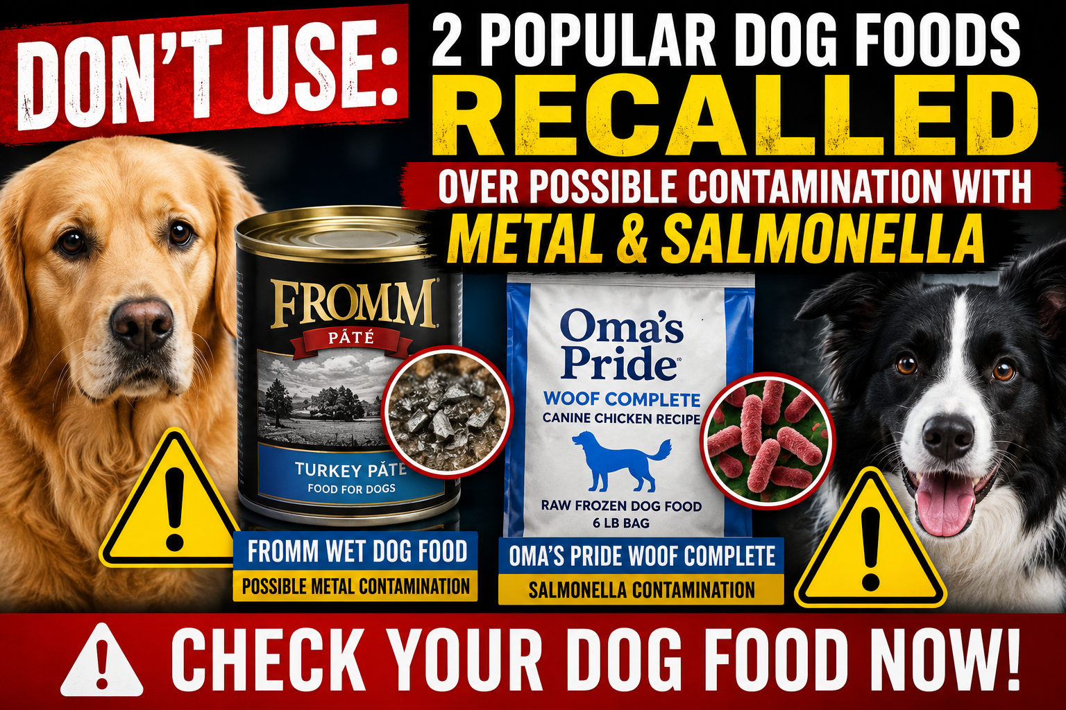 Don’t Use: 2 Popular Dog Foods Recalled Over Possible Metal and Salmonella Contamination